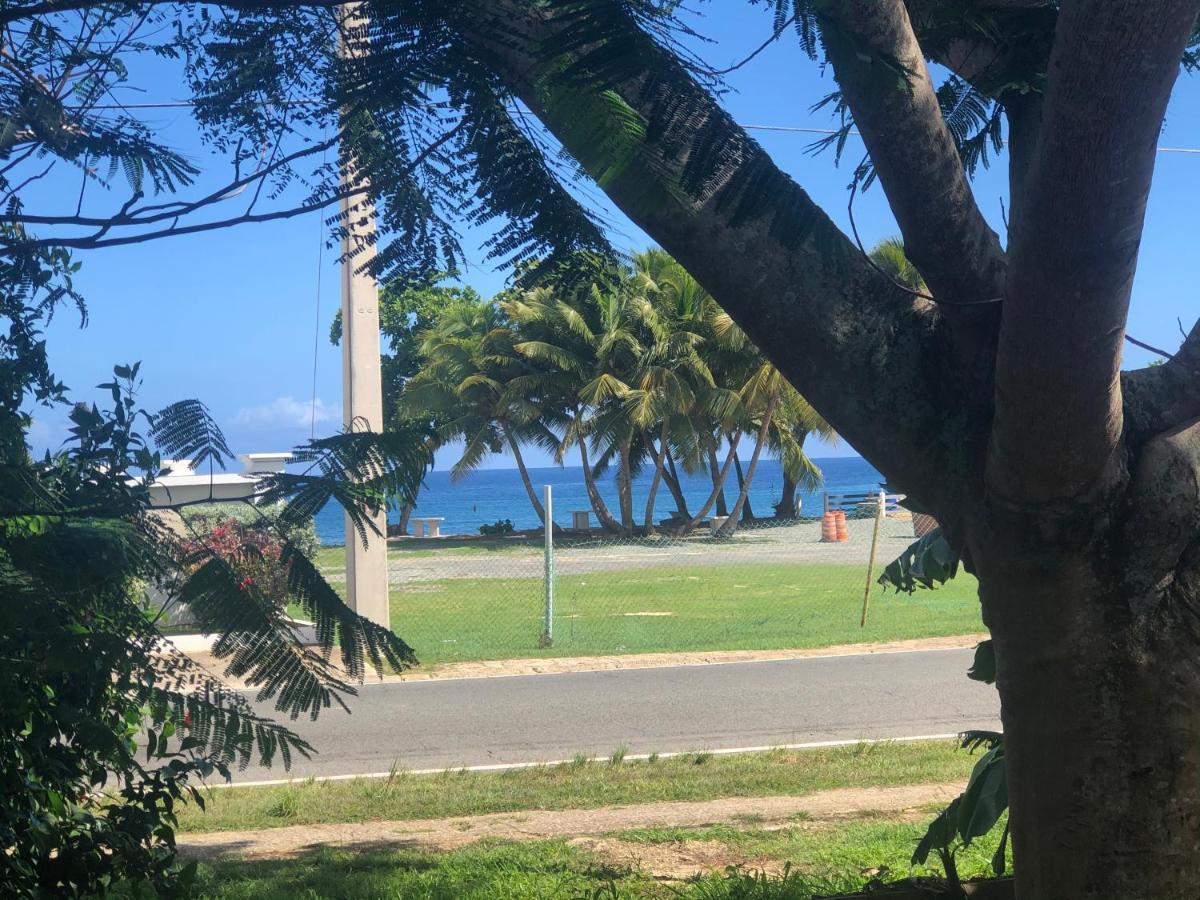 Las Olas Beach Apartments Arecibo Exterior photo