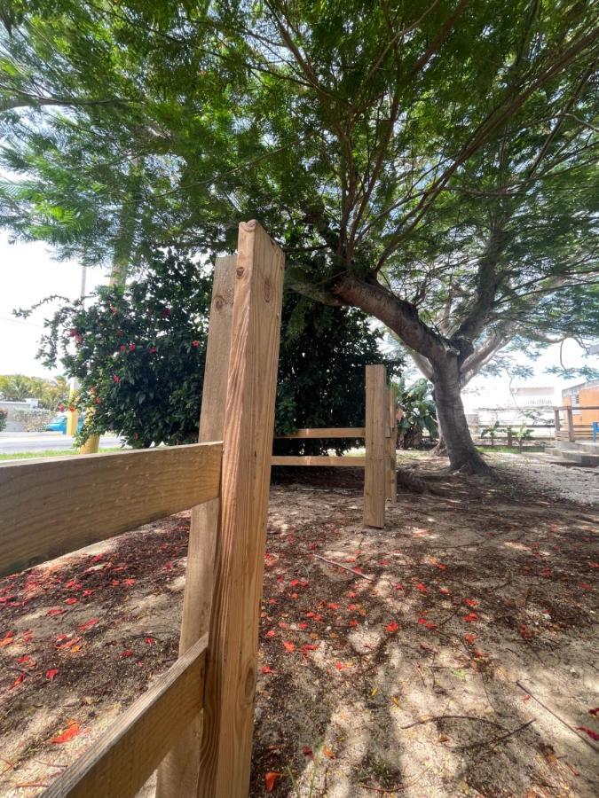 Las Olas Beach Apartments Arecibo Exterior photo